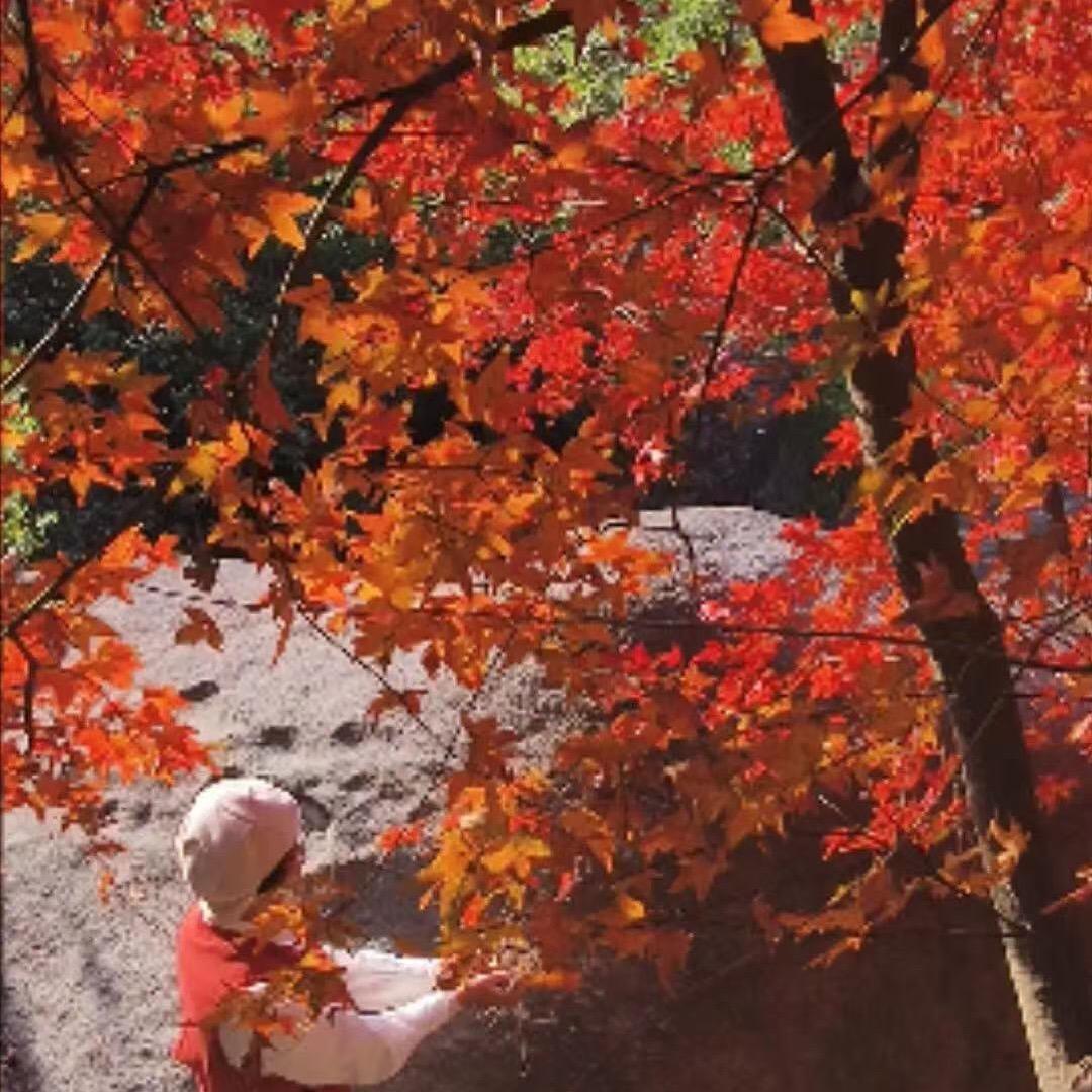 唱个锤子（爱唱歌🎤）