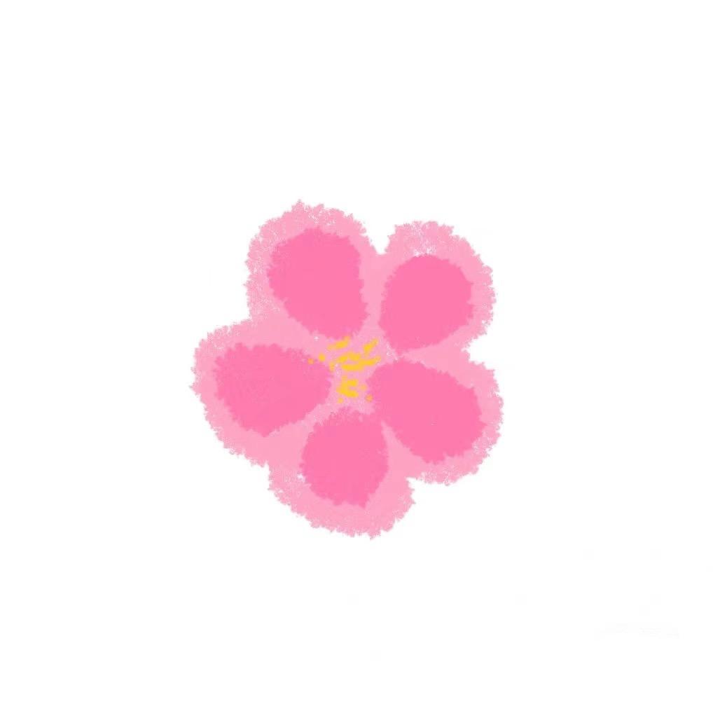 小花 花