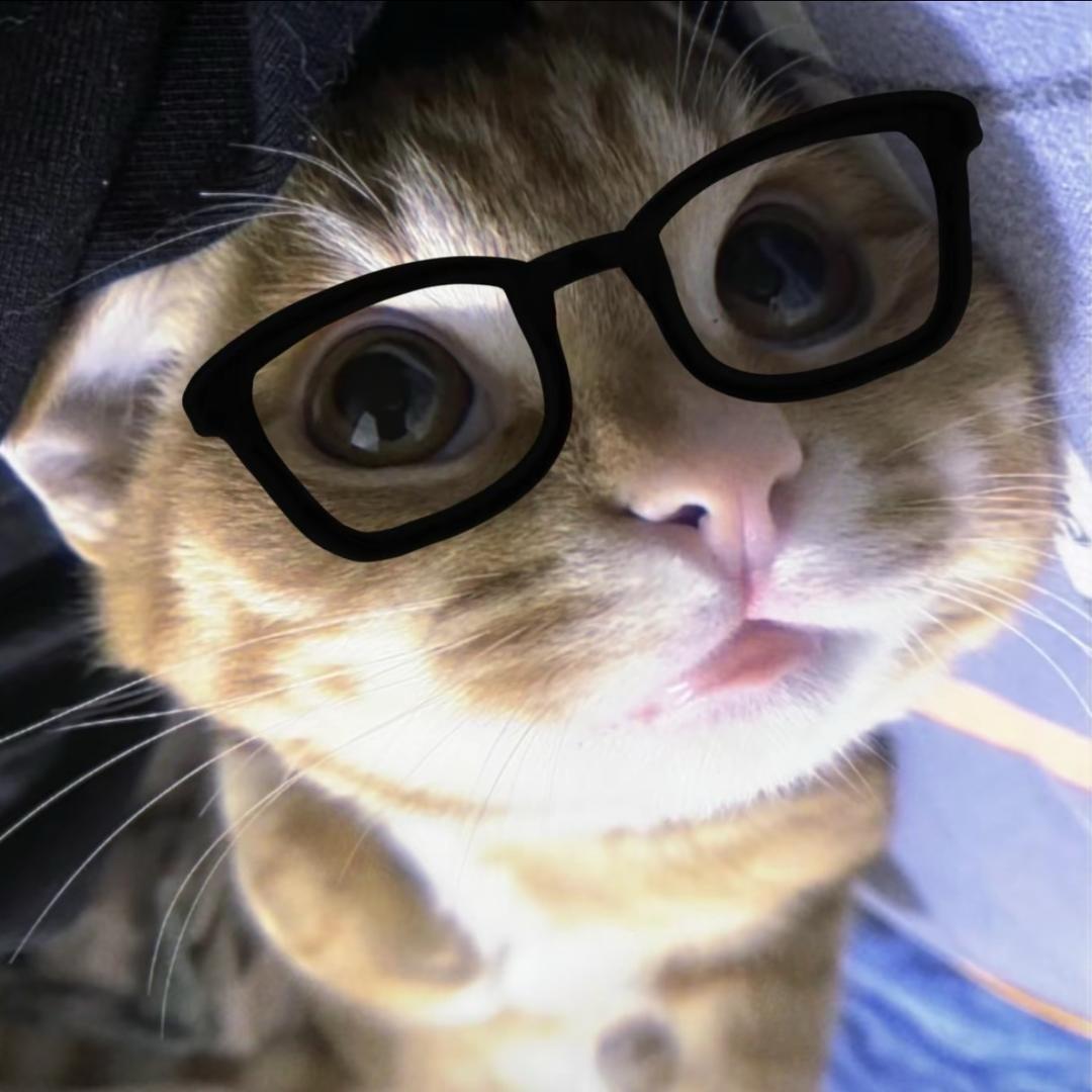 斑马失眠咯