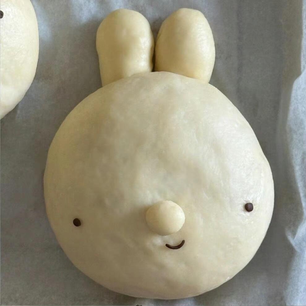 伦言伦语（什么时候立动物保护法）