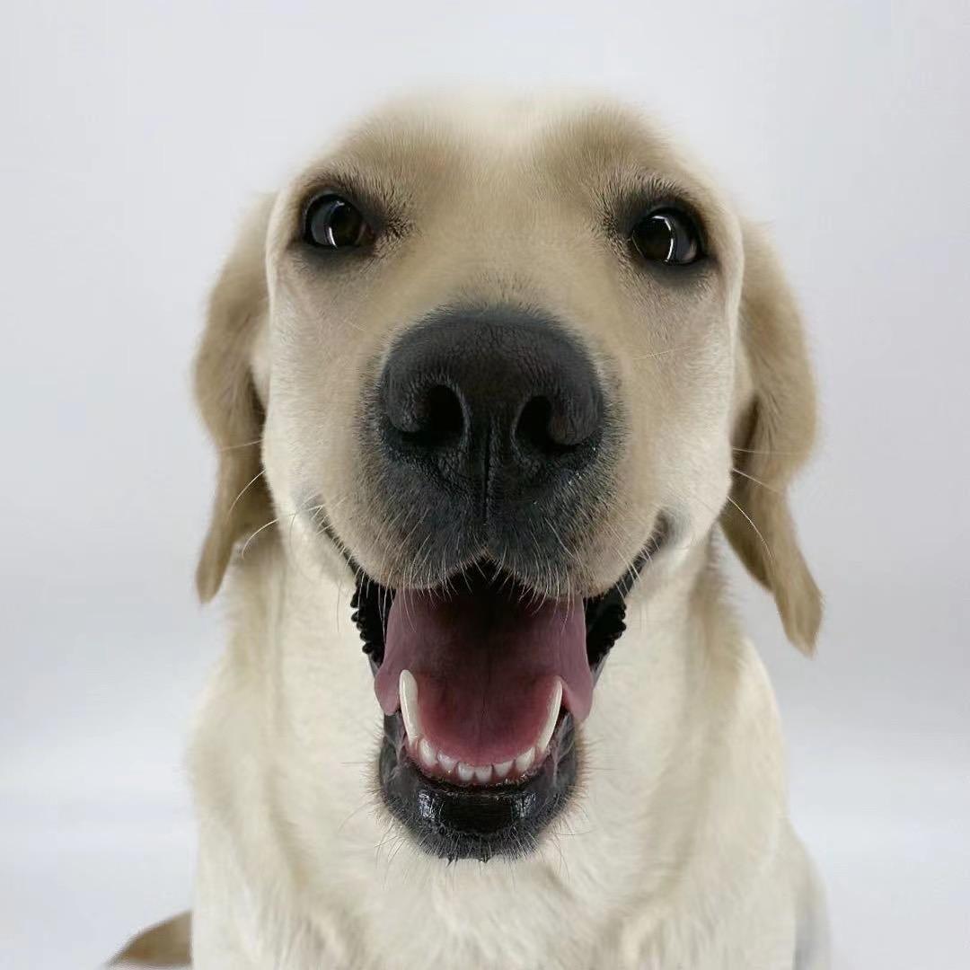 赵小七的朋友圈