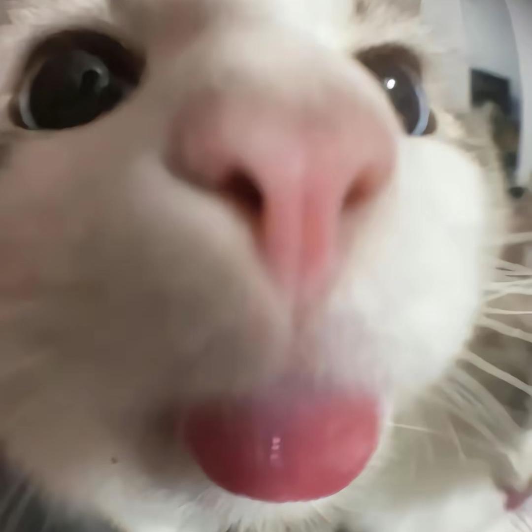 噼啪蹦