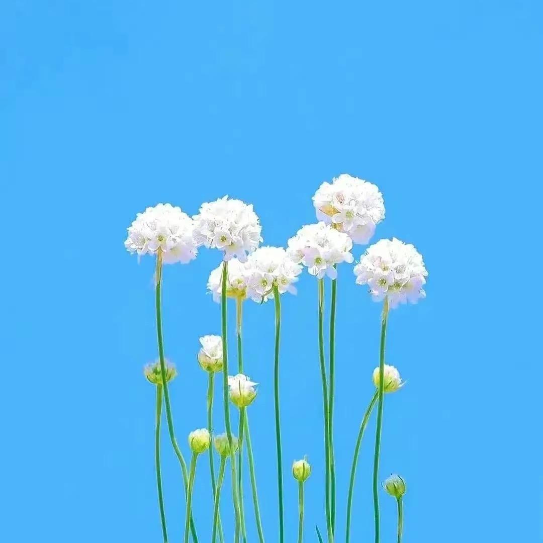 人生百态