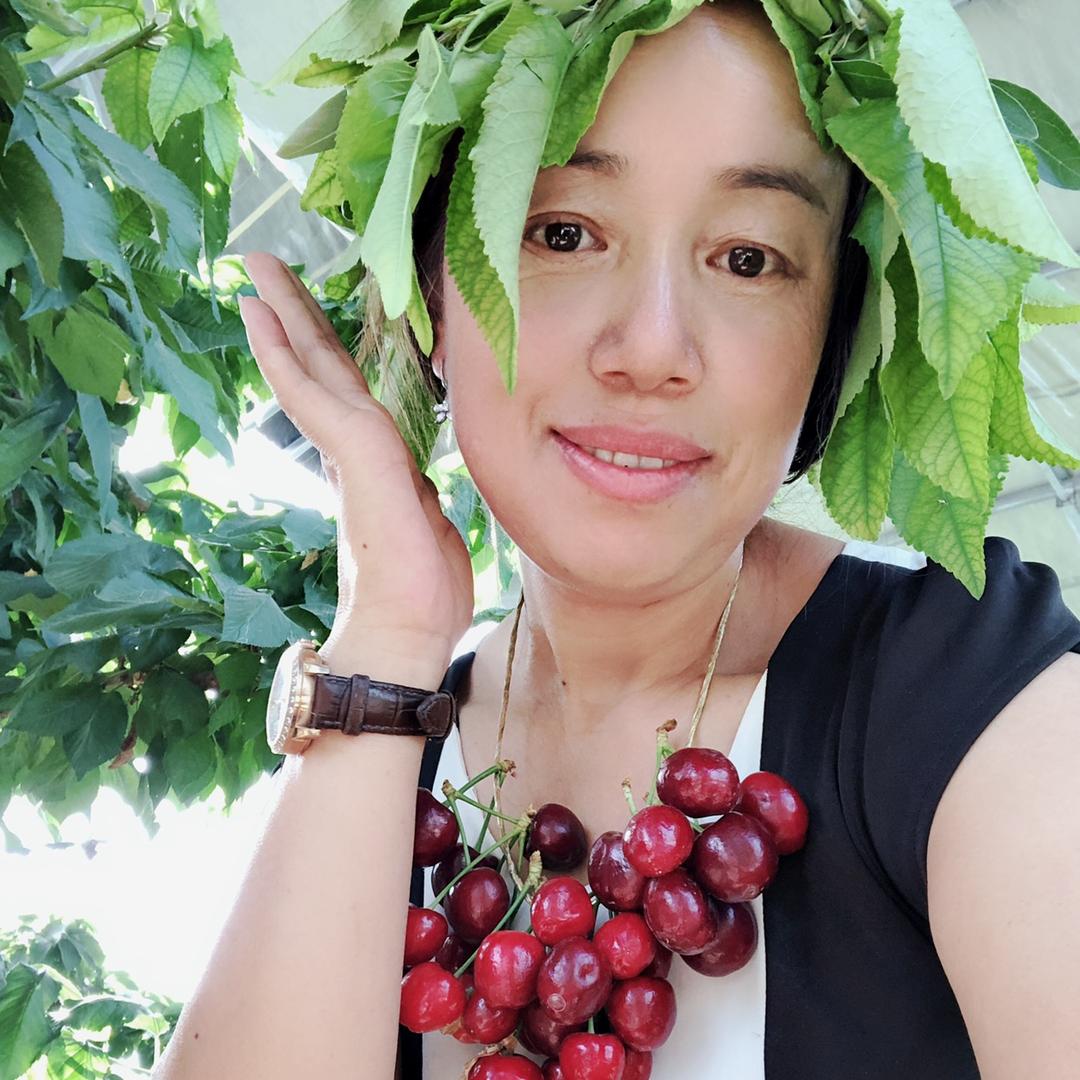 新疆樱桃种植李美云