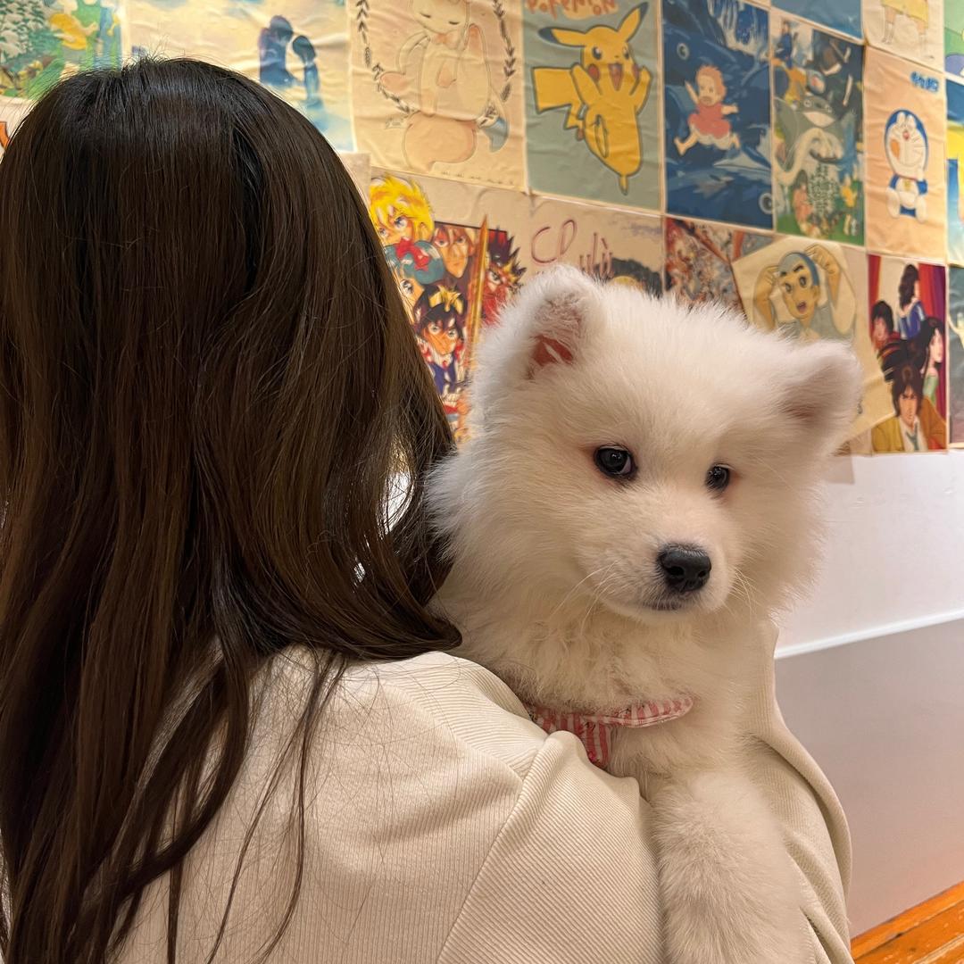 叉歪叉（牛马版）