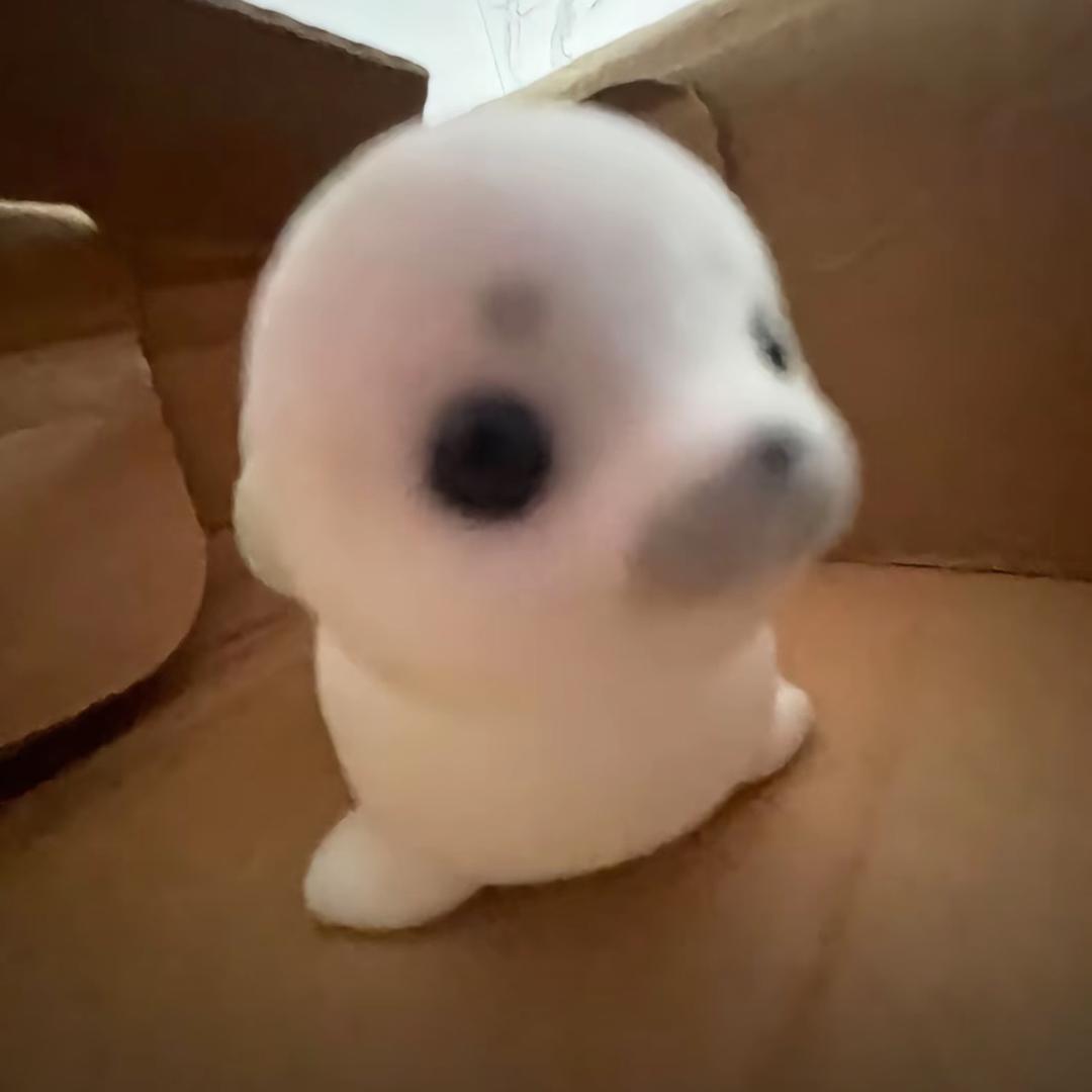 我素一根薯条🍟