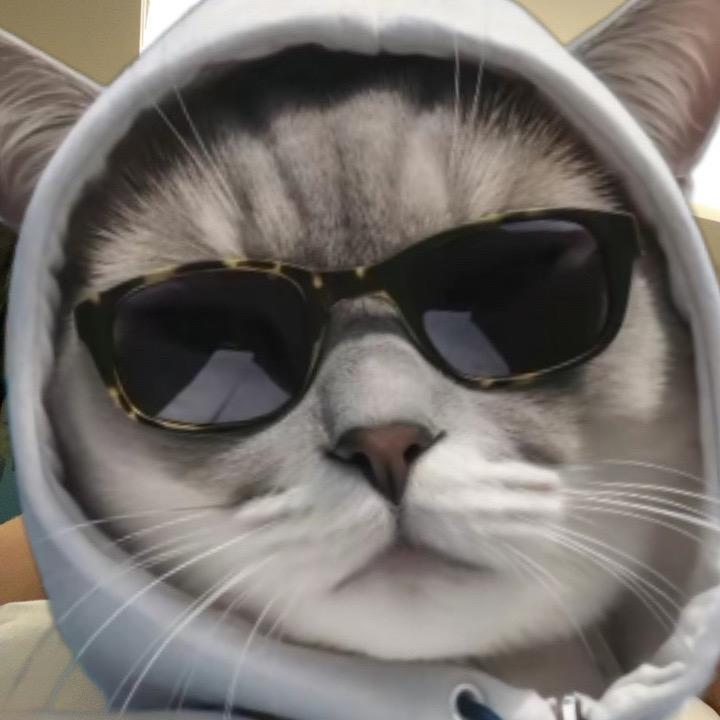 無ʕ•̫͡•ོʔ•̫͡•ཻʕ•̫͡•ʔ