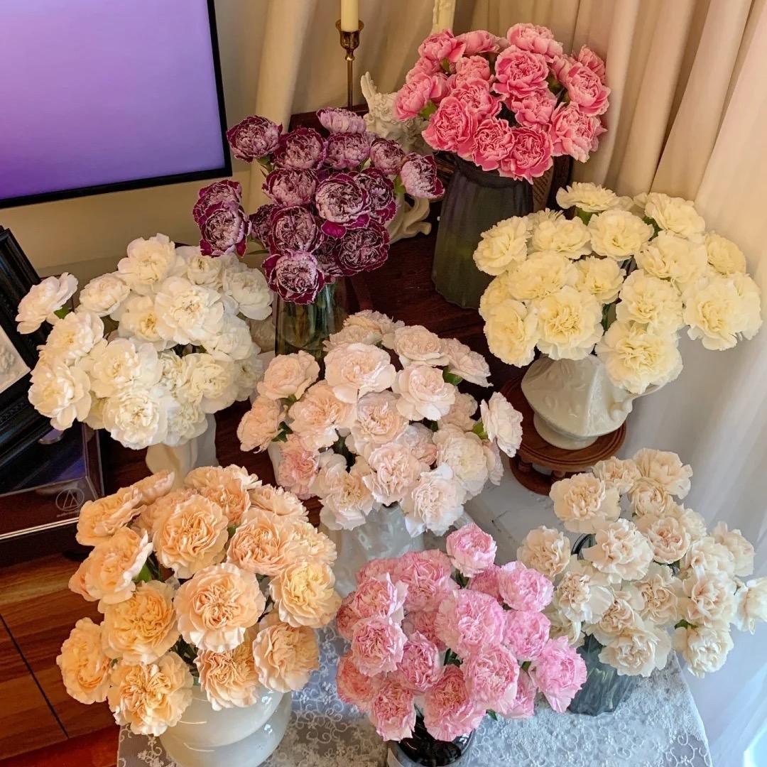 花昼夜鲜花