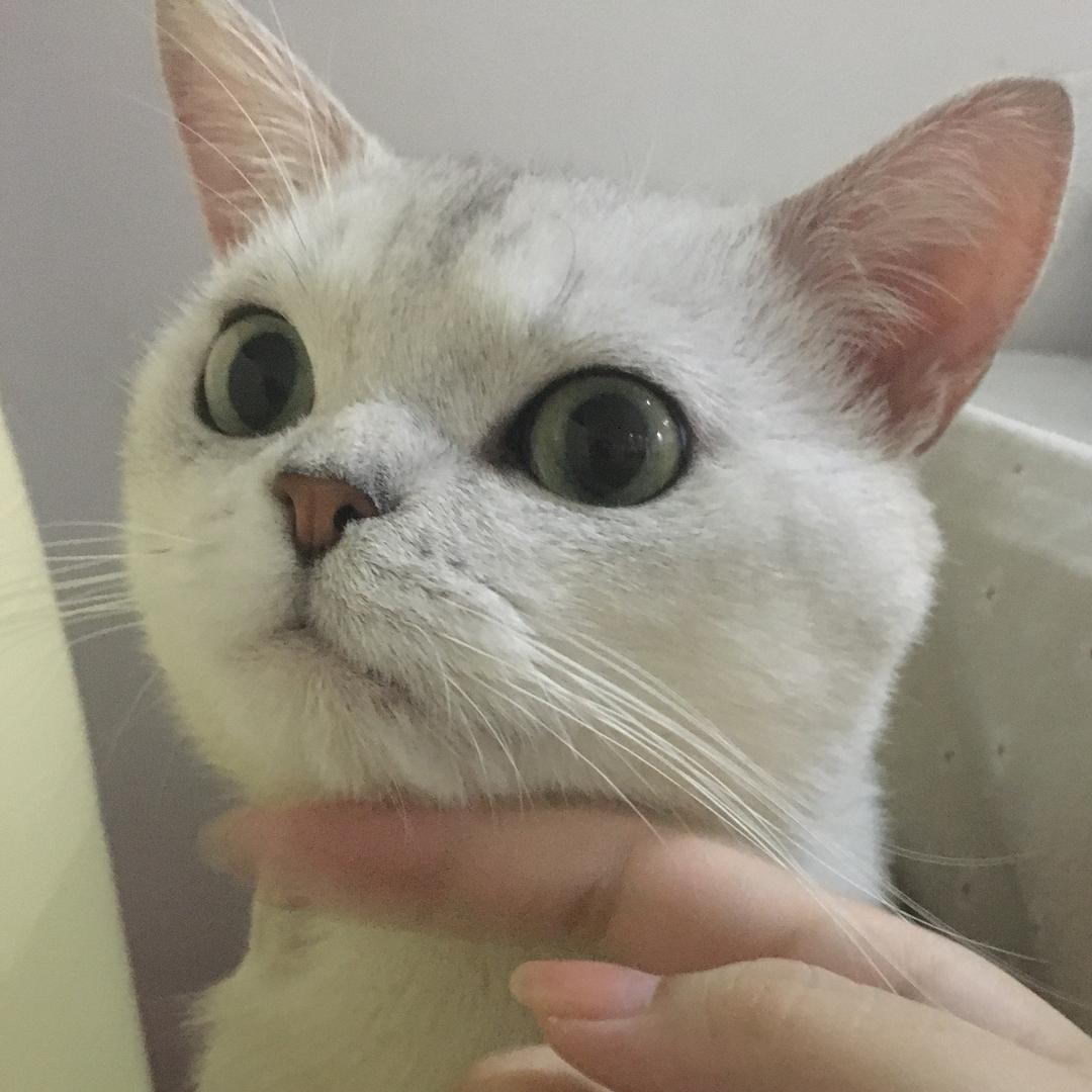 鈺婕