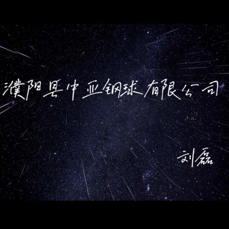 濮阳县中亚钢球有限公司