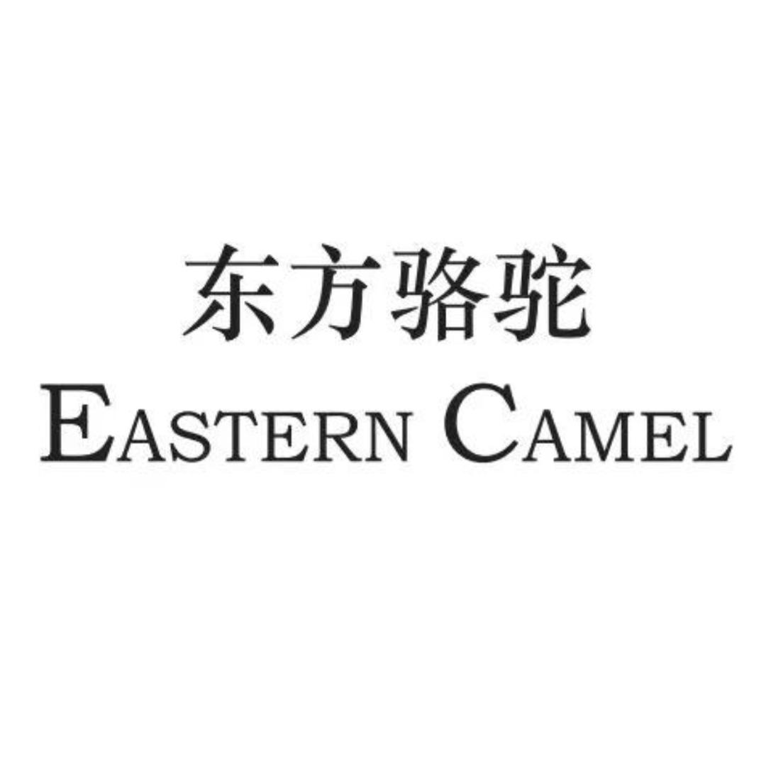 东方骆驼专柜女鞋（芳悦）