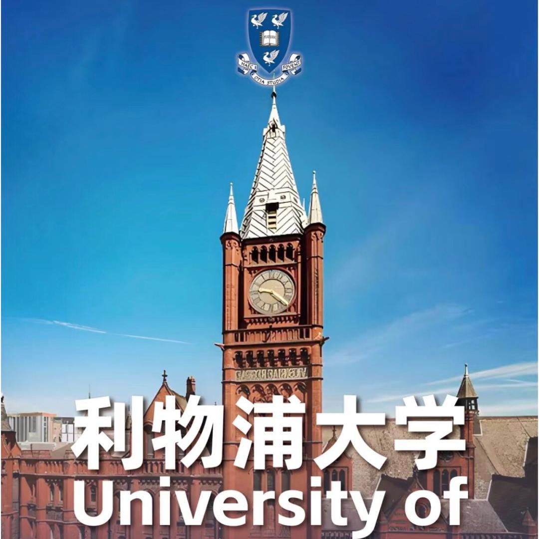 利物浦国际大一杨老师