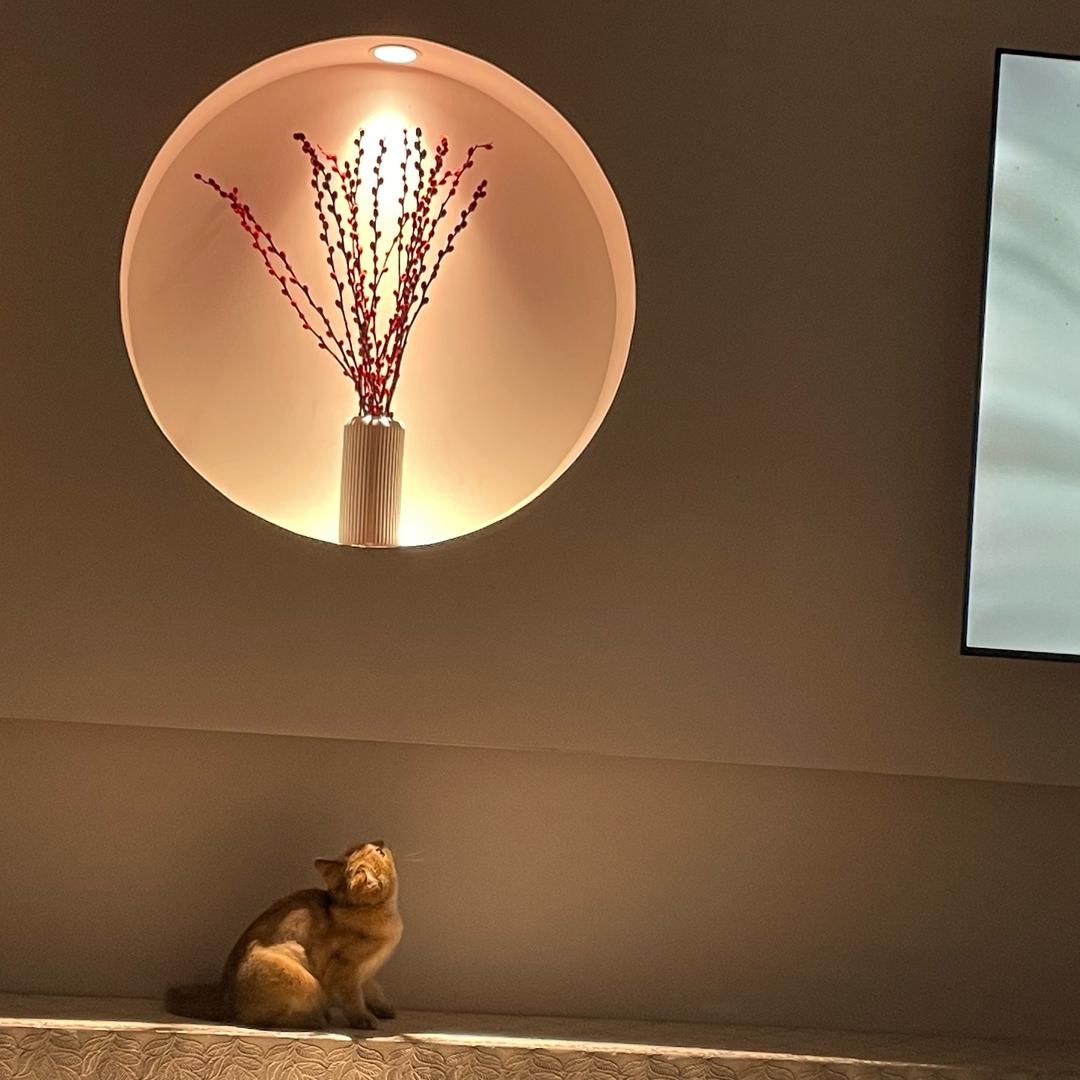 不会化妆的化妆师