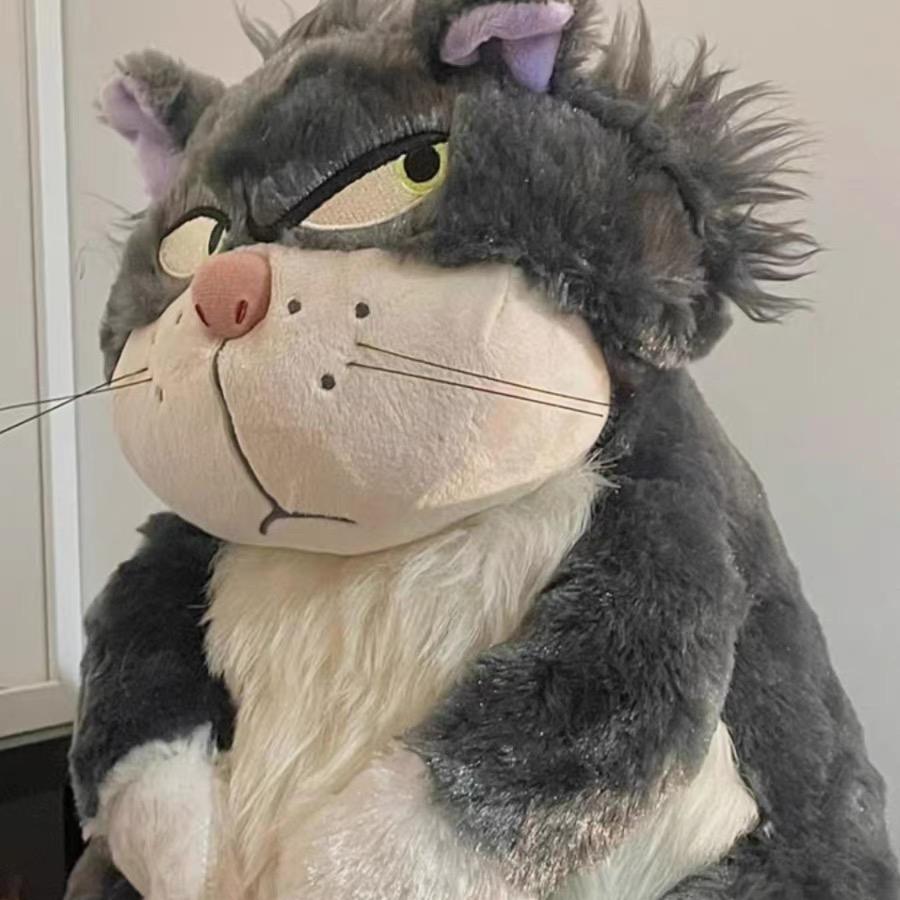 大脸猫LM