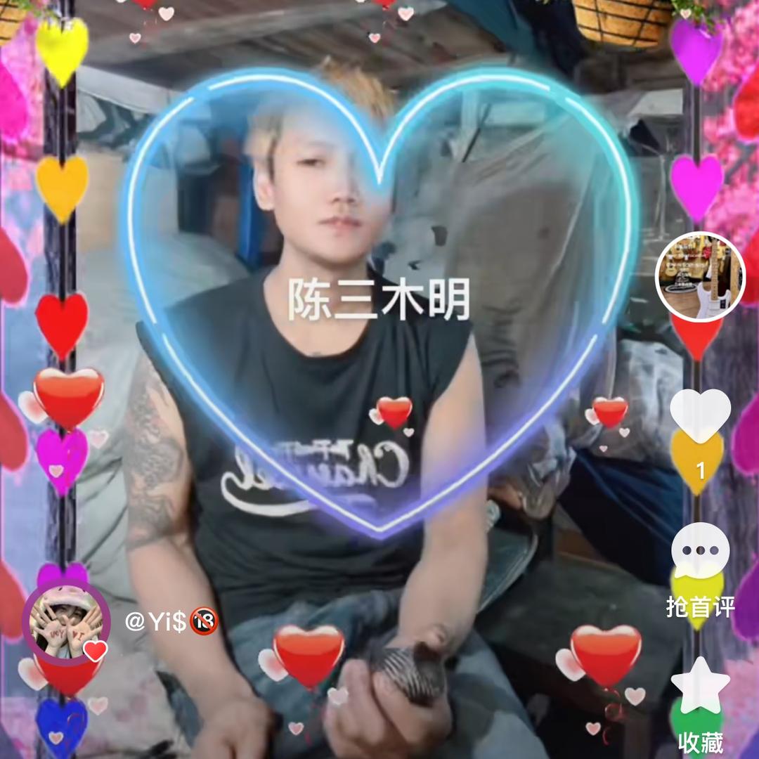 陈三木明