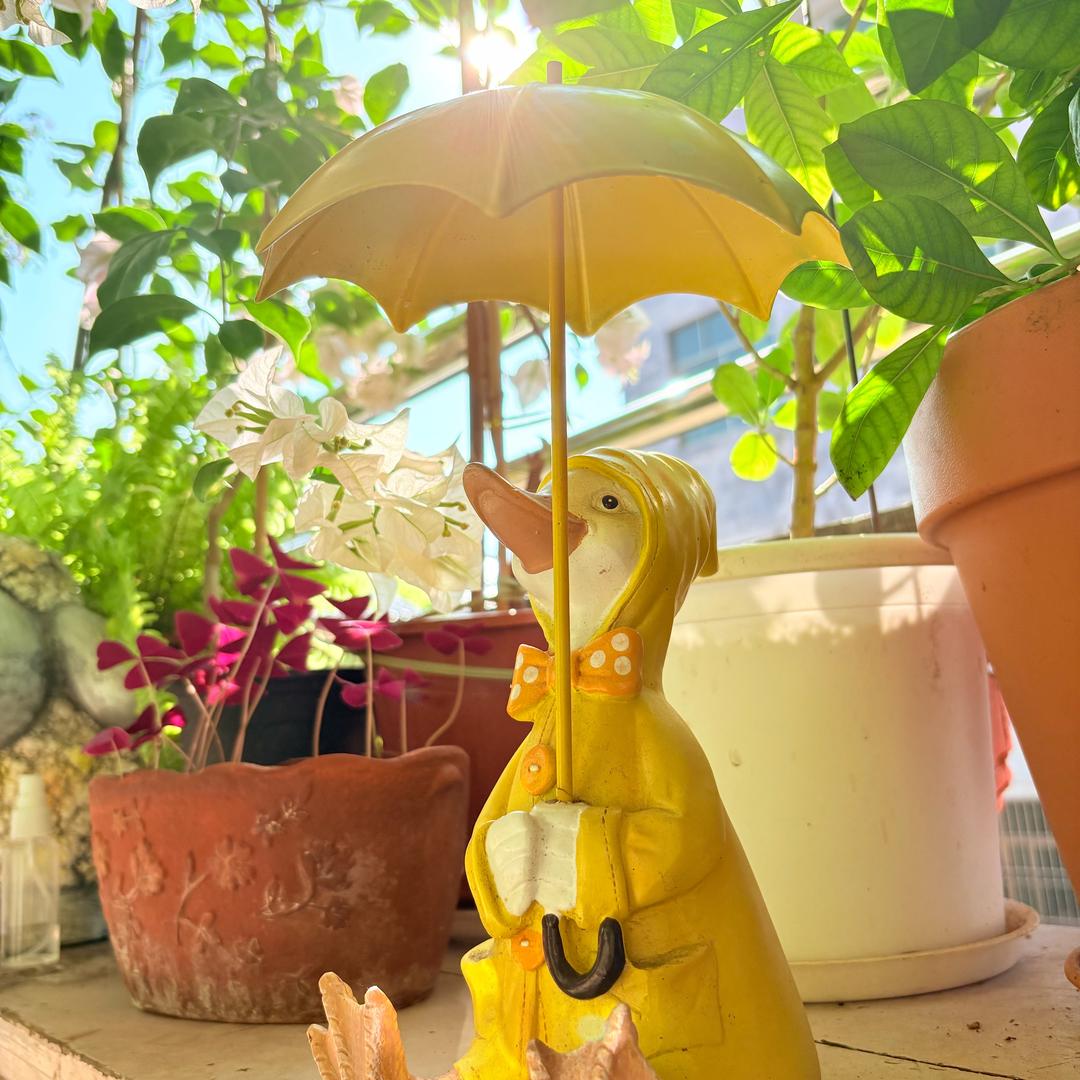 喵的花漾莳光