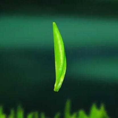 清点百茶供应