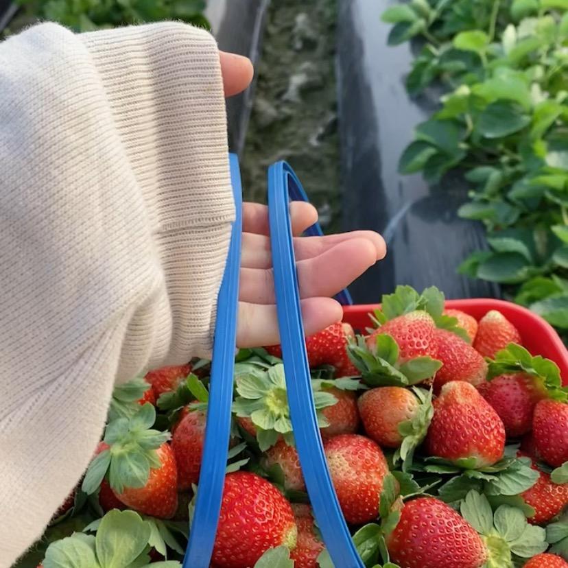 小飞侠水果店