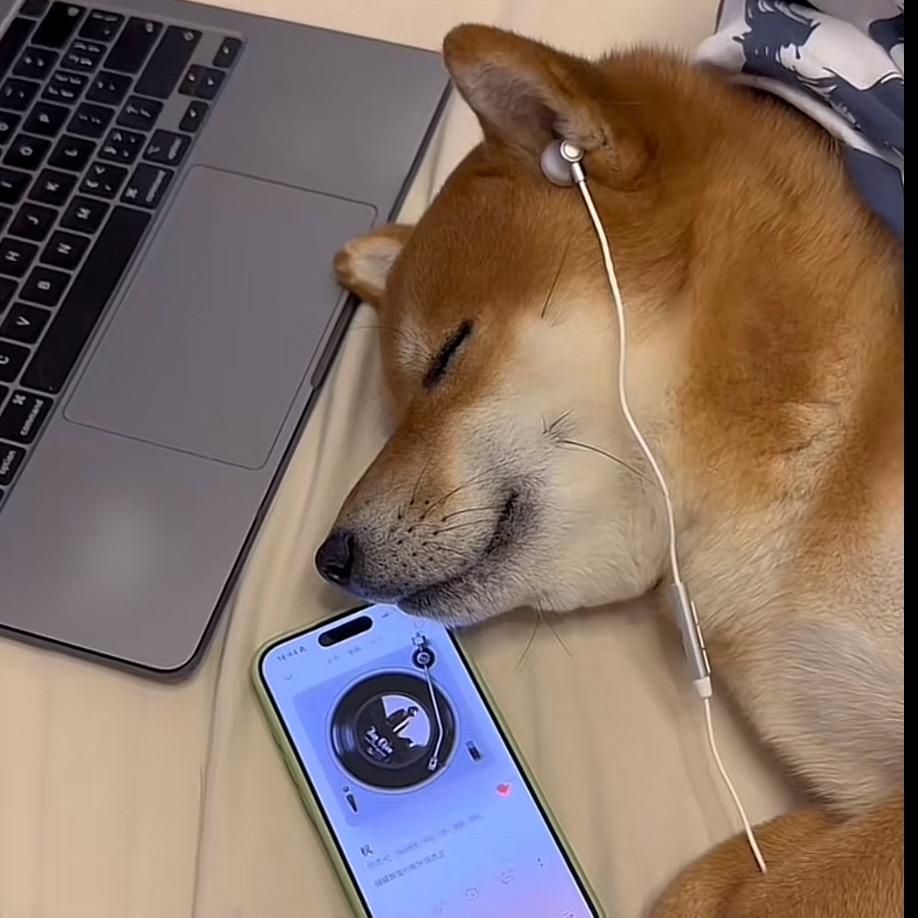 三点水的泽/