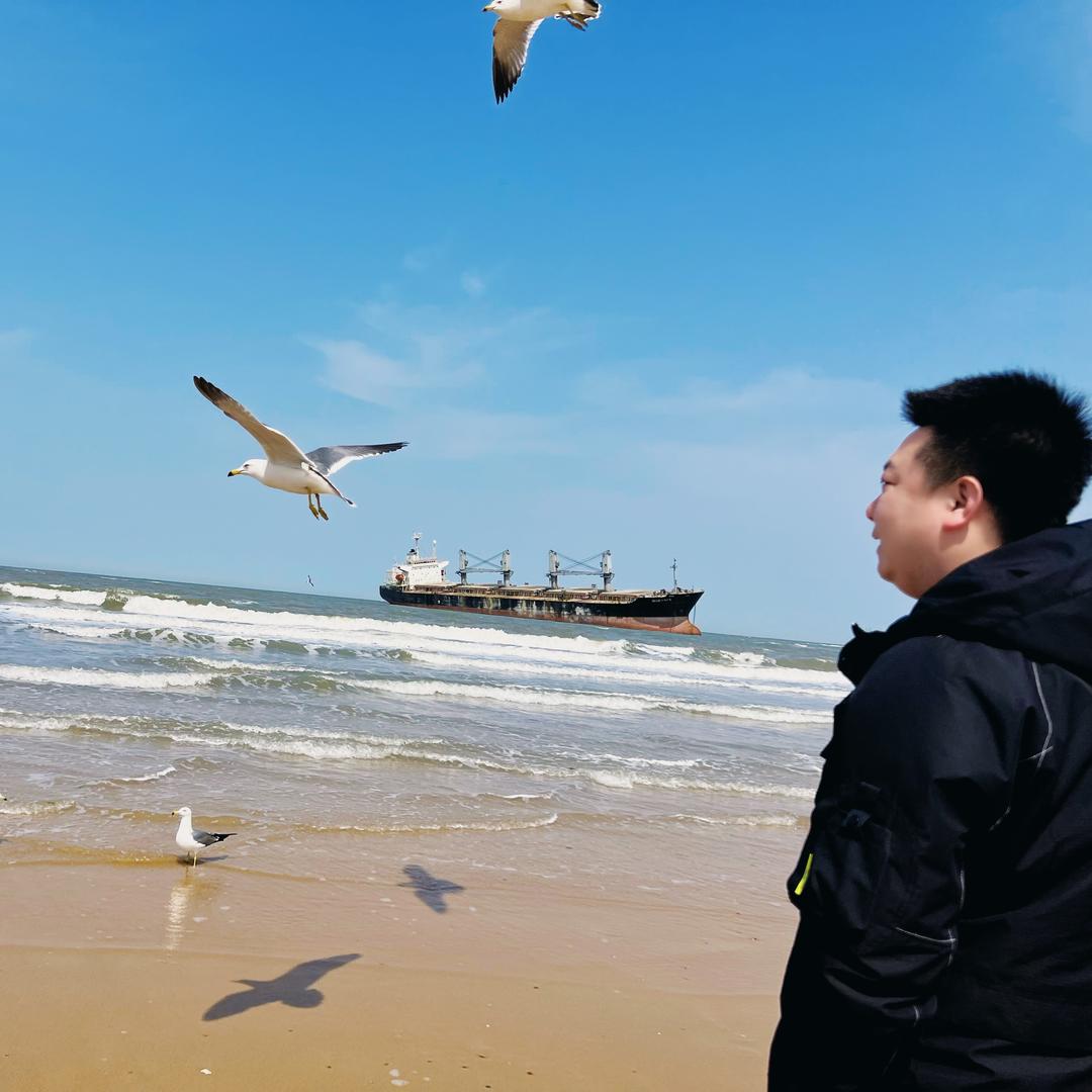 就叫随意吧