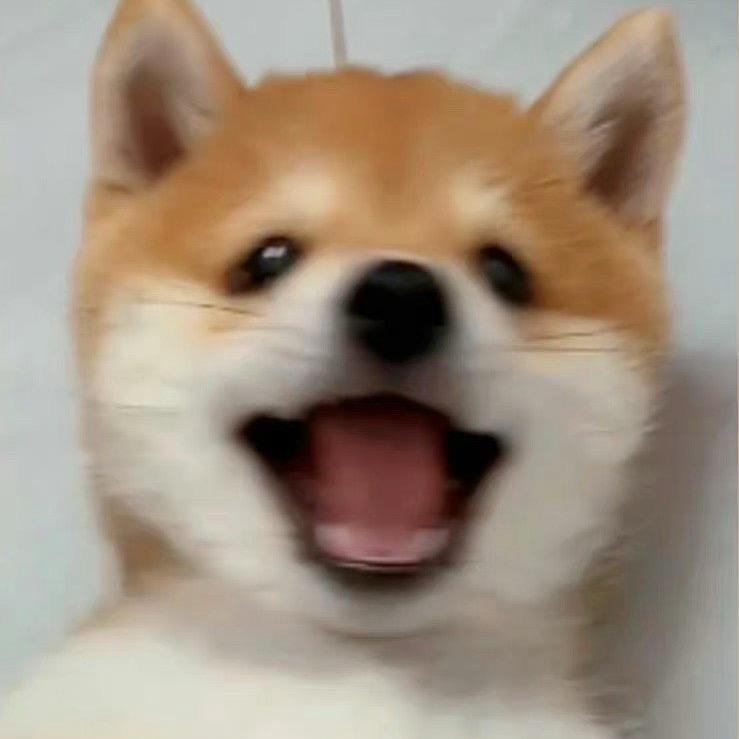 Marmalade