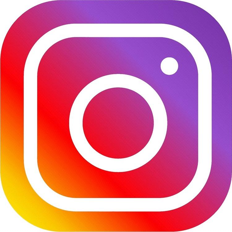 ins