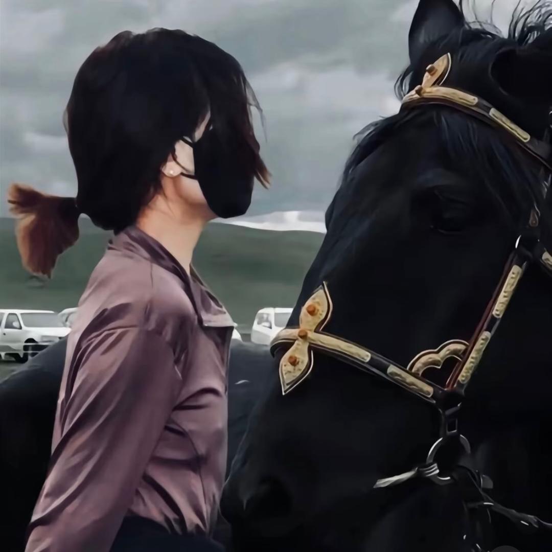 🌹智日赛毛🌹