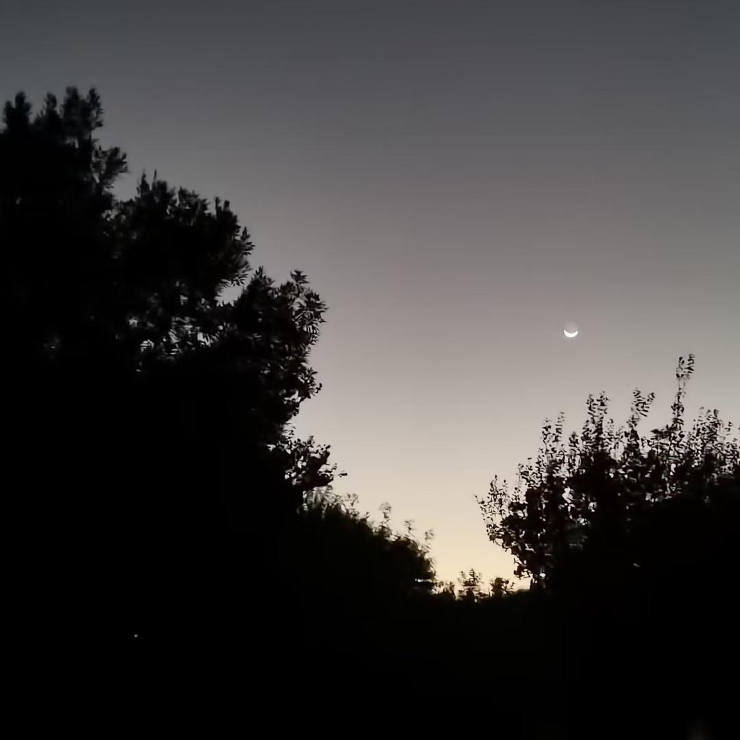 1Z