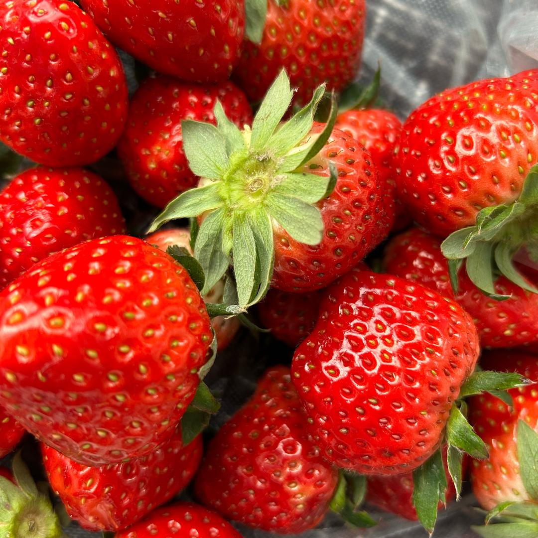 ♛y♛🧚🏻‍♀️