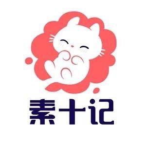 素十记八号