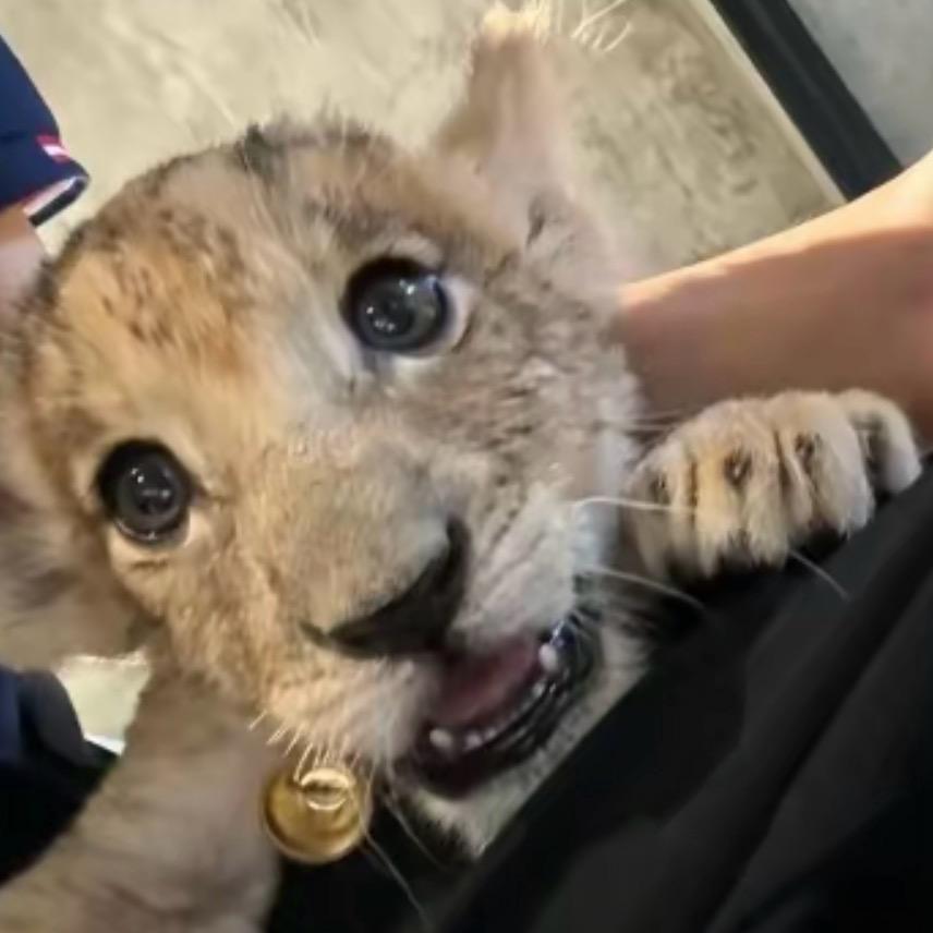 画个⭕️诅咒你