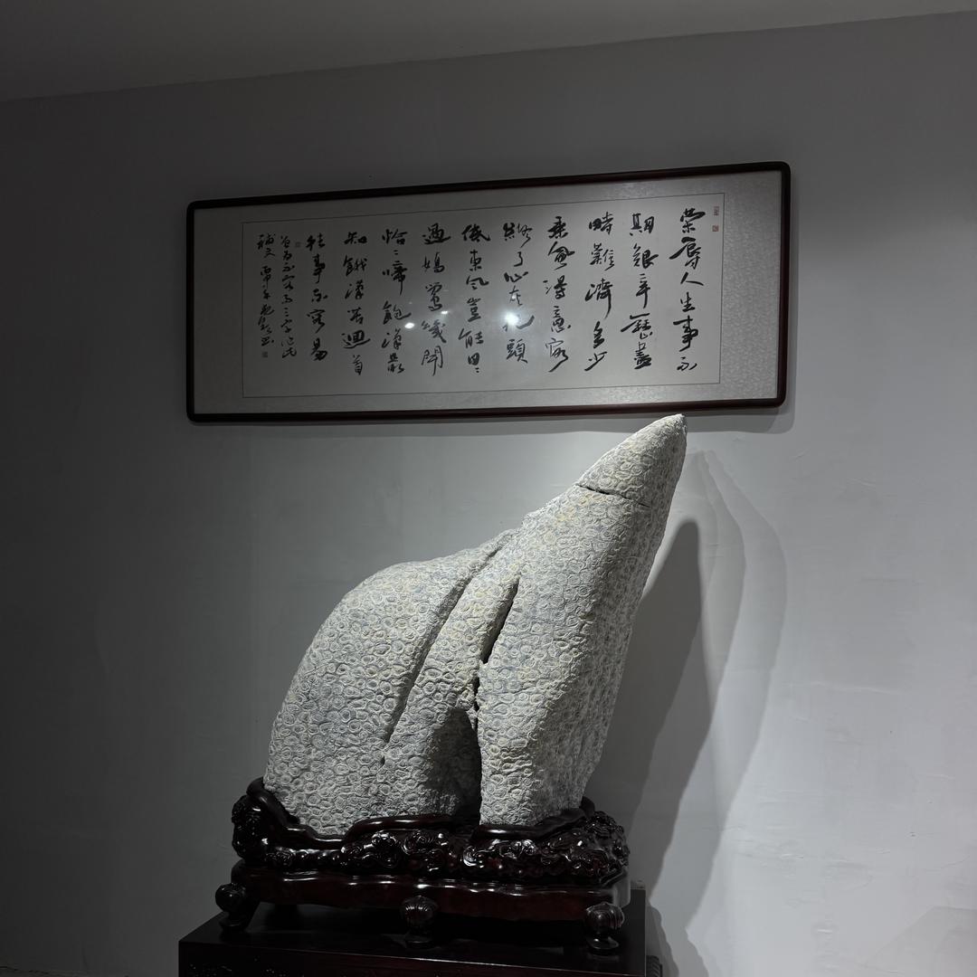 金石缘藏石金钱石