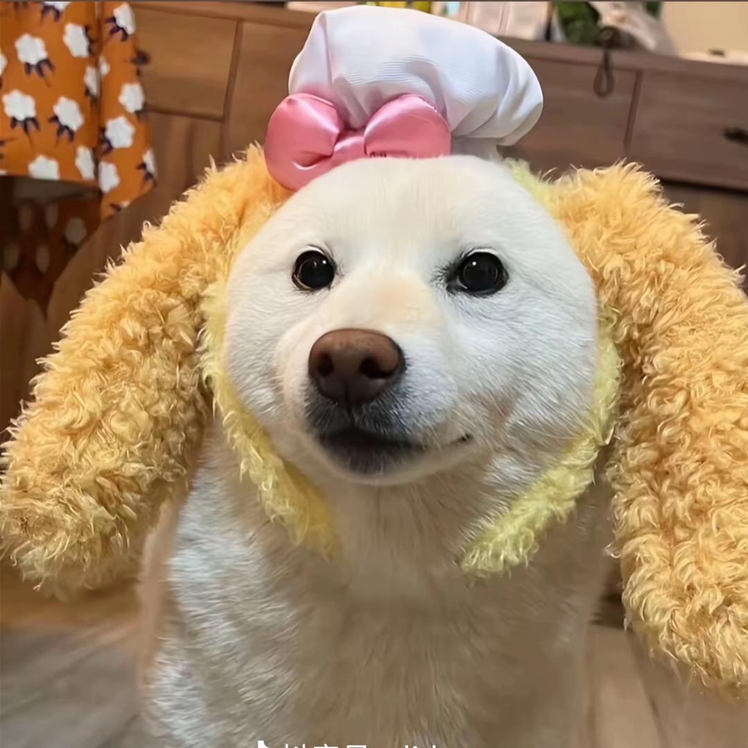 旺先生🥁