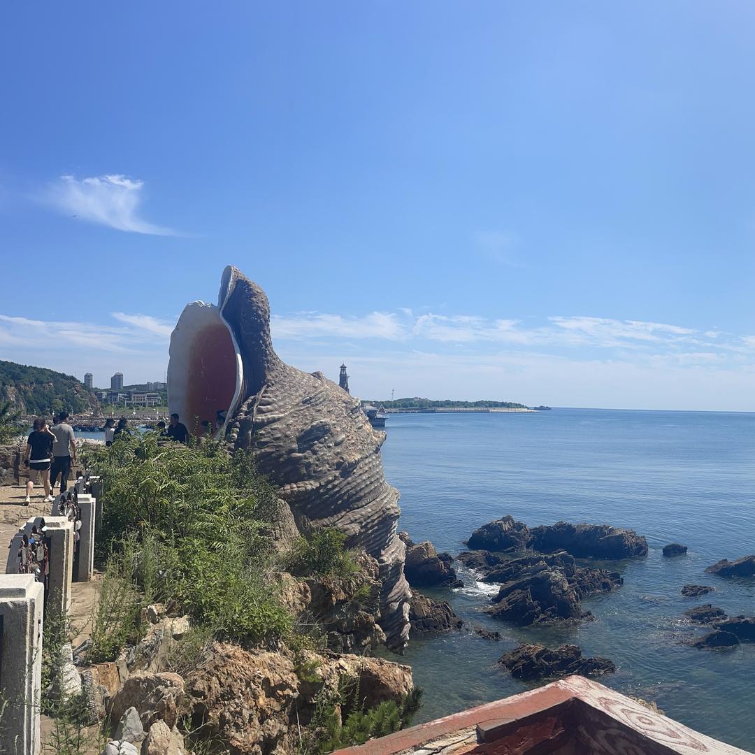 余生随心