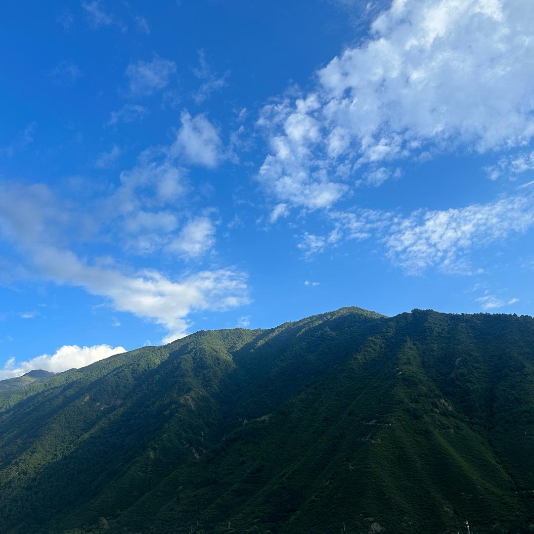 阿锐