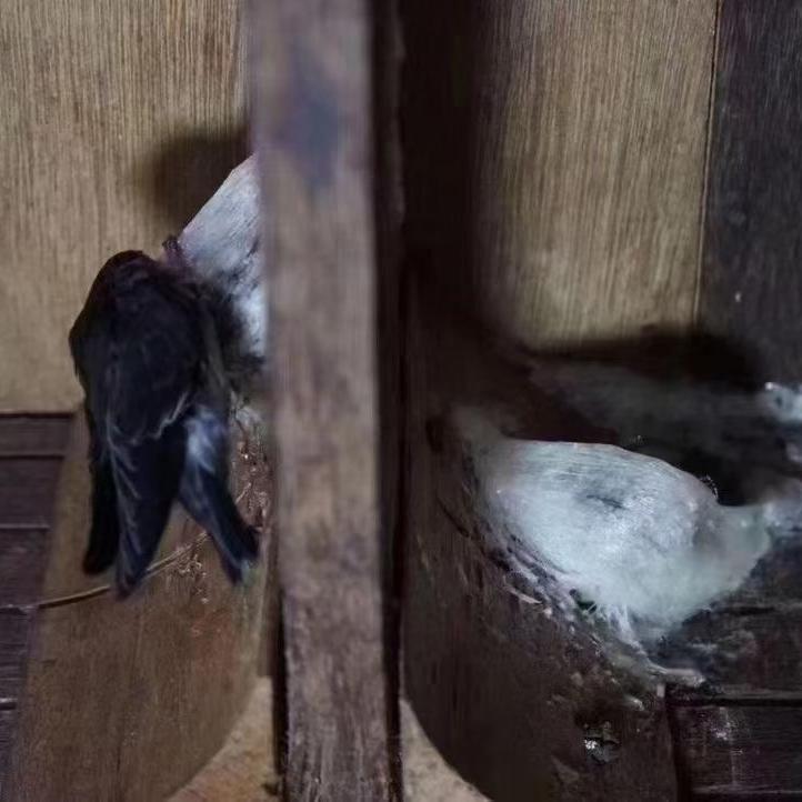 汕头市稀日来朝贸易有限公司企业店