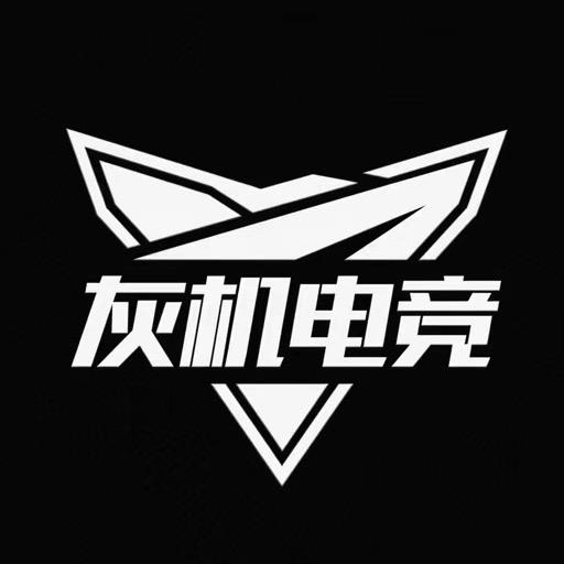 灰机电竞（筹备中招打手）