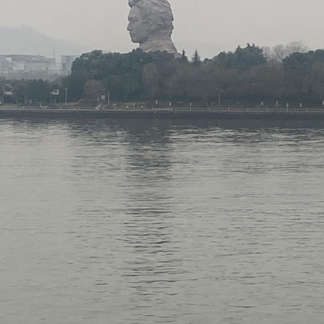 橘子花开