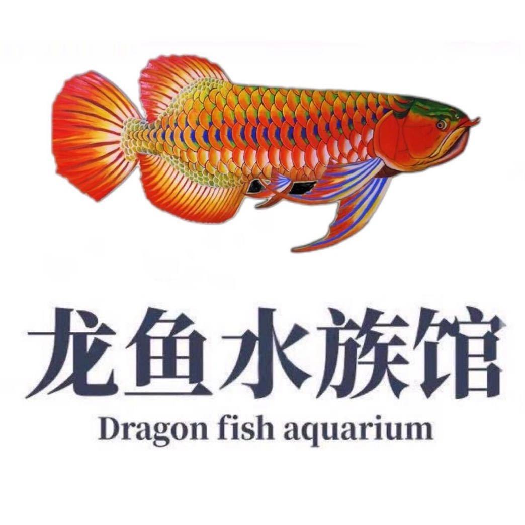 海金