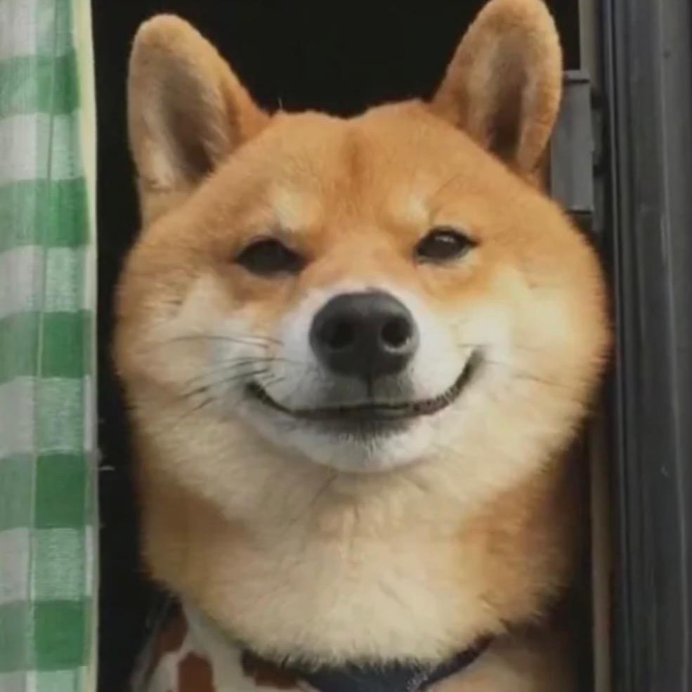 🐬呀哈哈哈哈哈哈哈哈