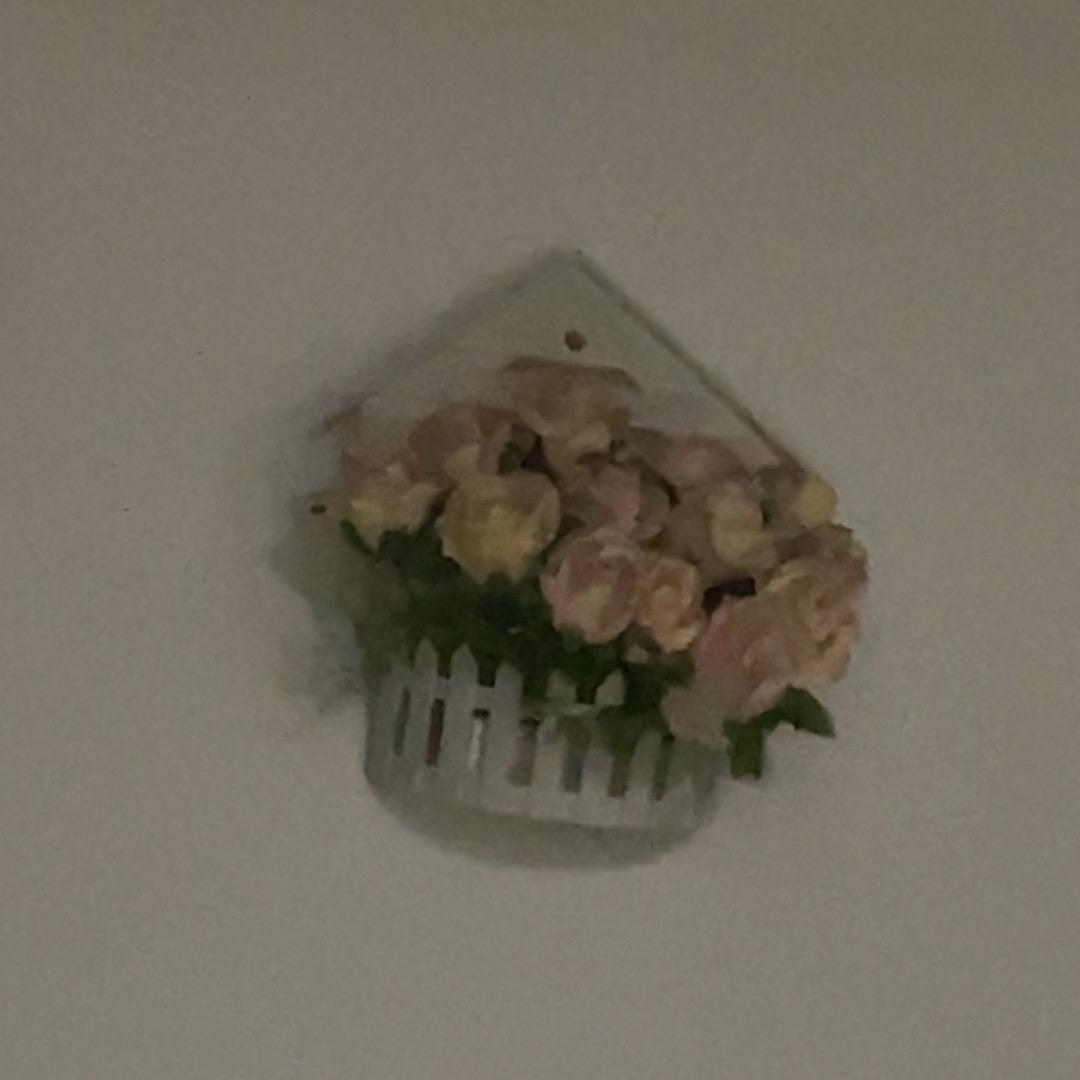 哈哈哈哈哈