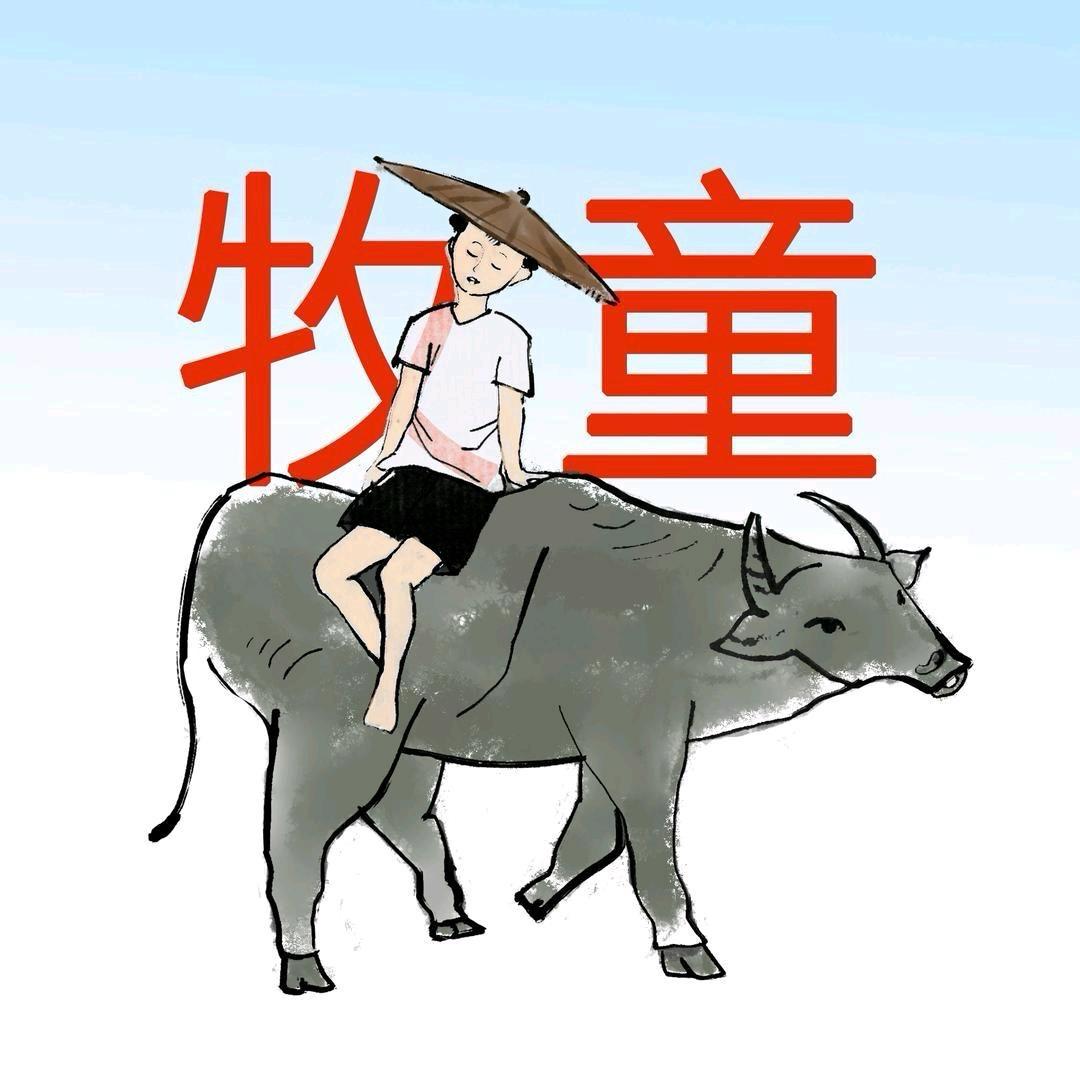 牧童投资圈