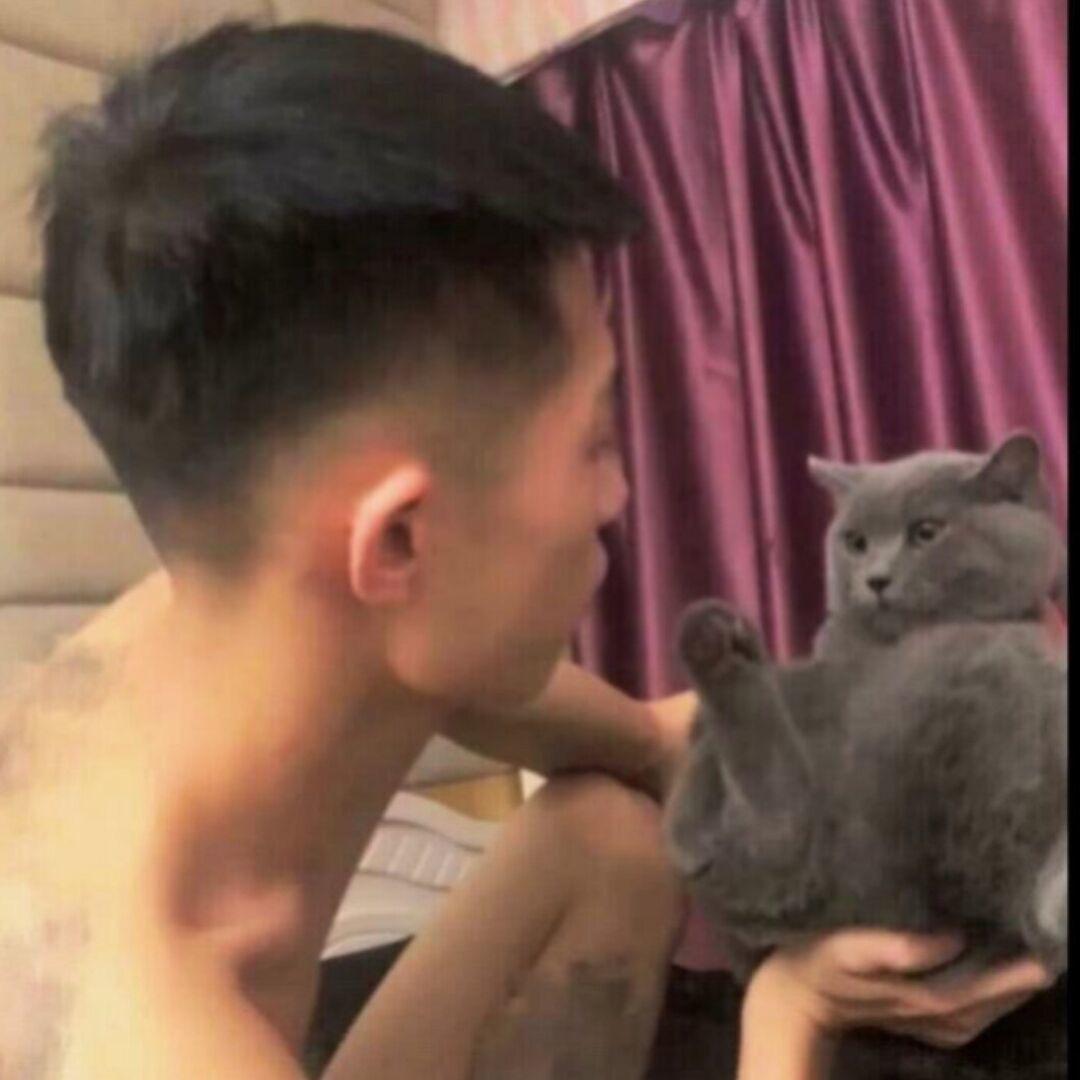 森林迷了鹿.