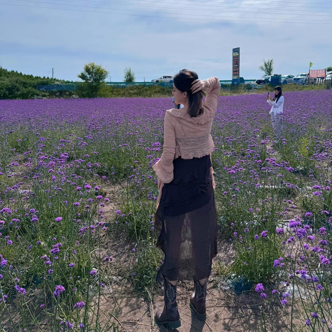 泡芙·💗