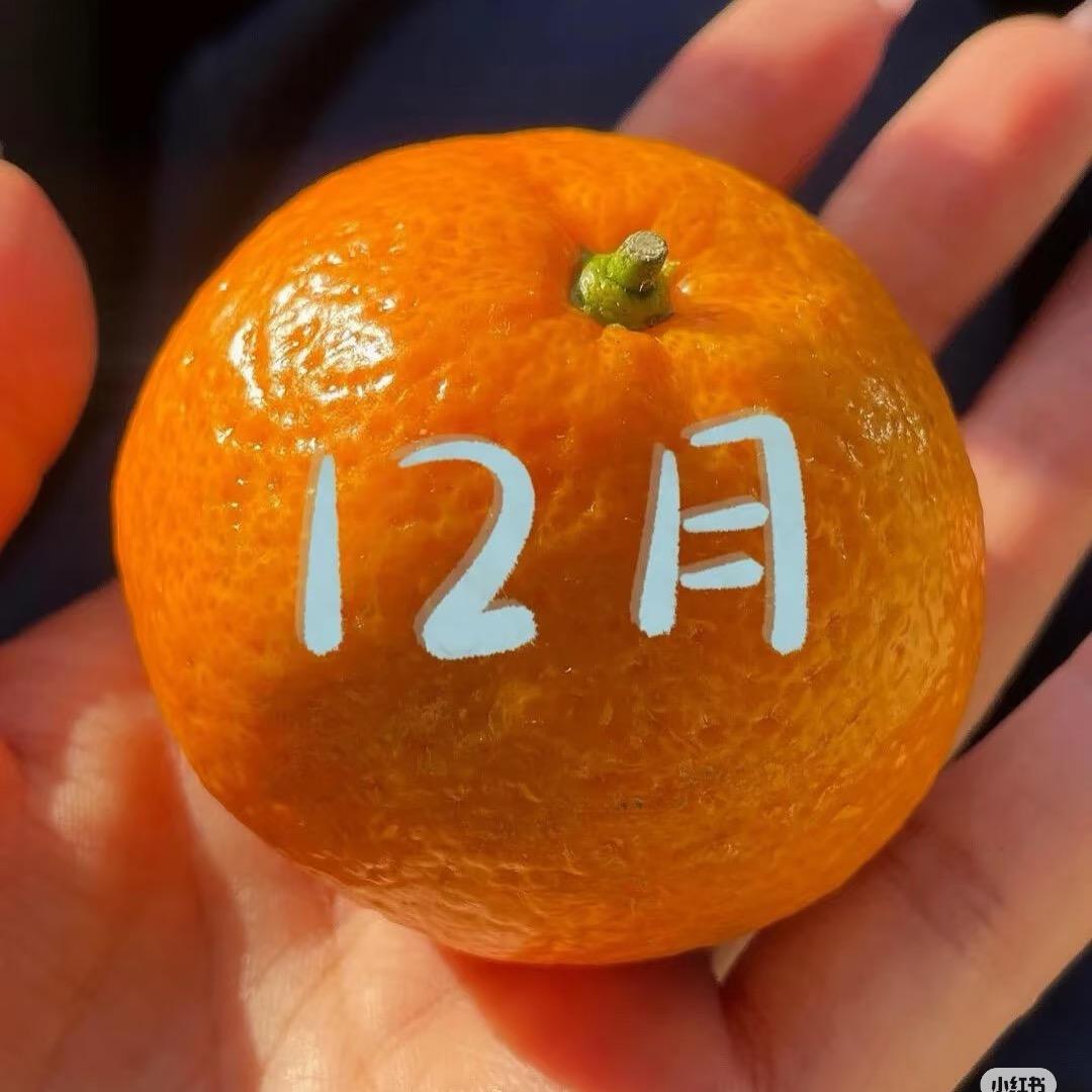 溪(✺ω✺)