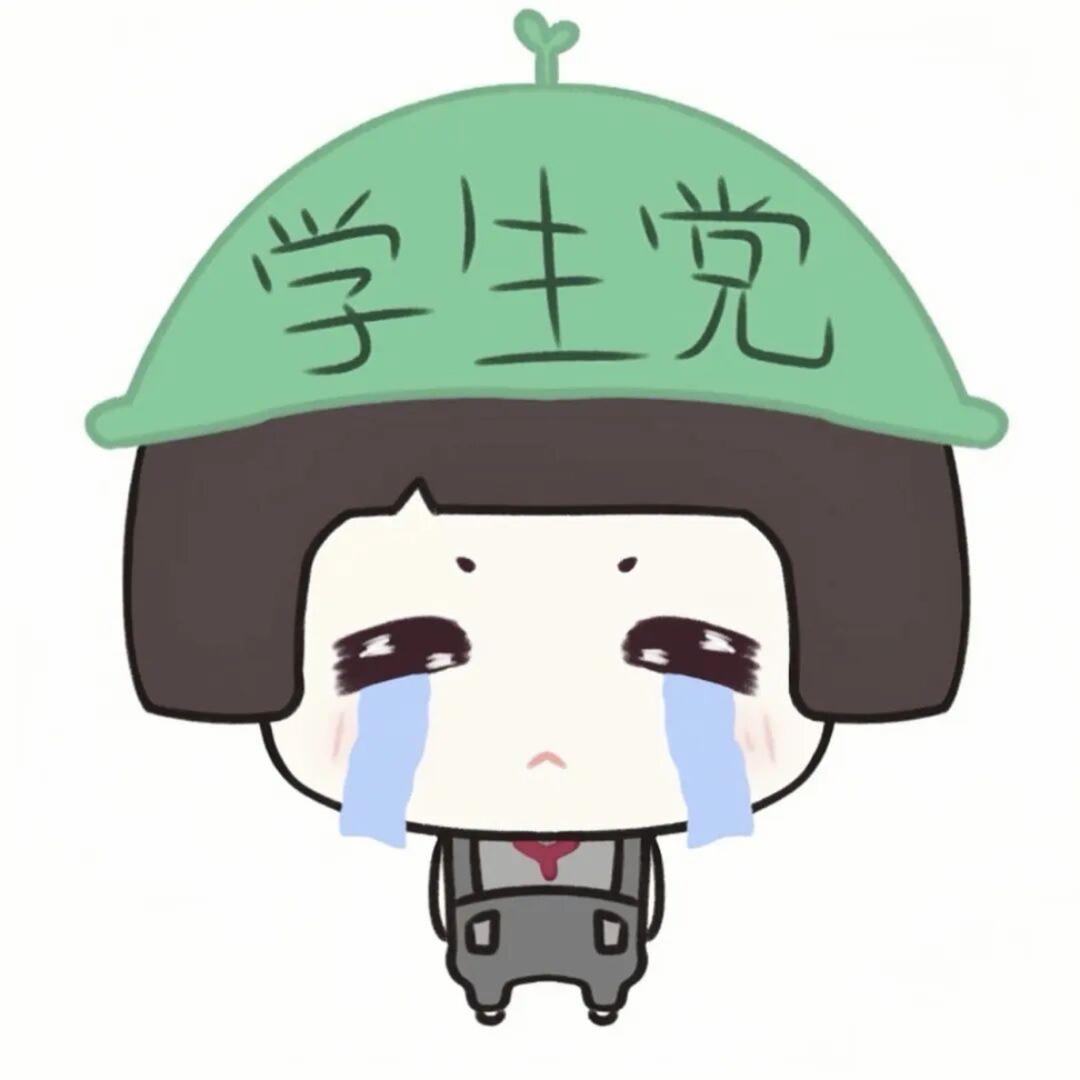 辉辉大王