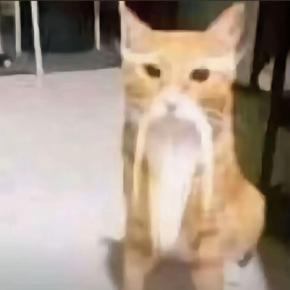 一道二气三清