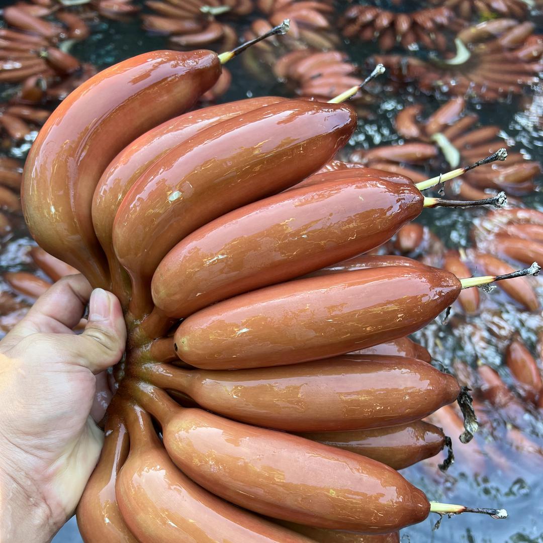 晖霖鲜果好货店