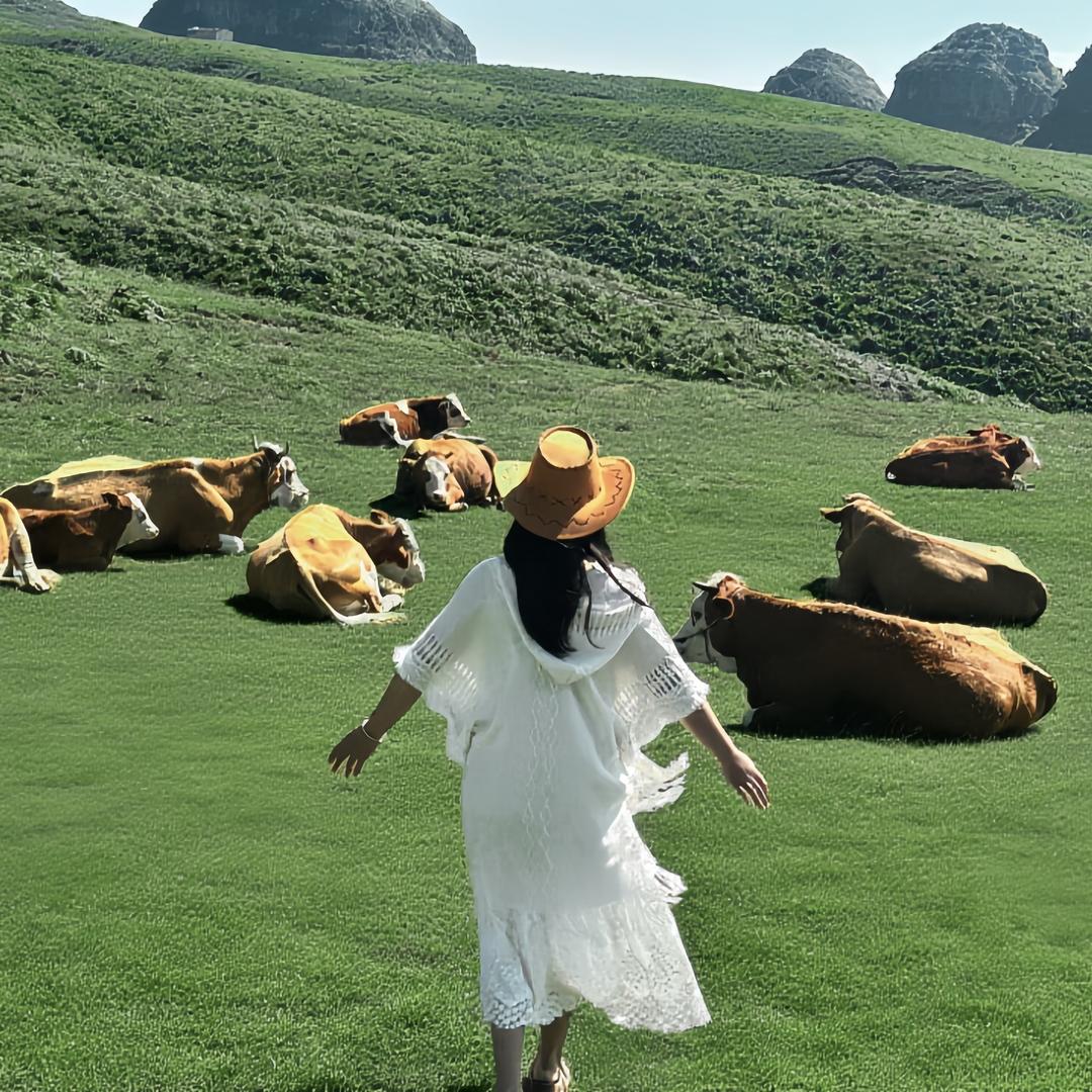 秋野