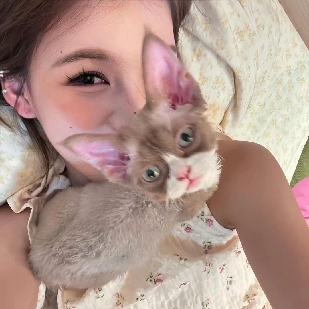 整只鱼